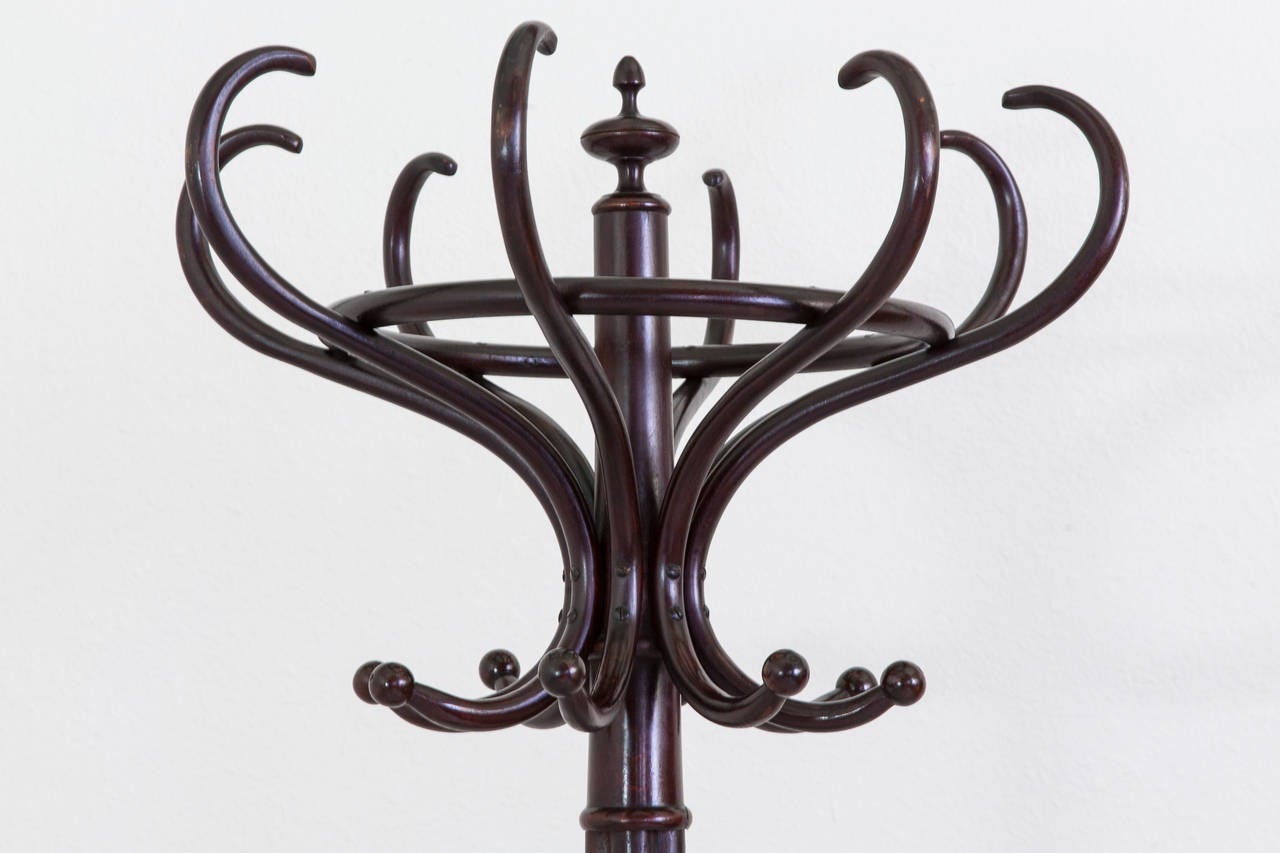 This Classic Thonet style hat and coat rack is made of richly finished bent beechwood. A familiar fixture in the turn-of-the-century French bistro, this piece will bring a handsome touch to any entry or dressing space, circa 1900.