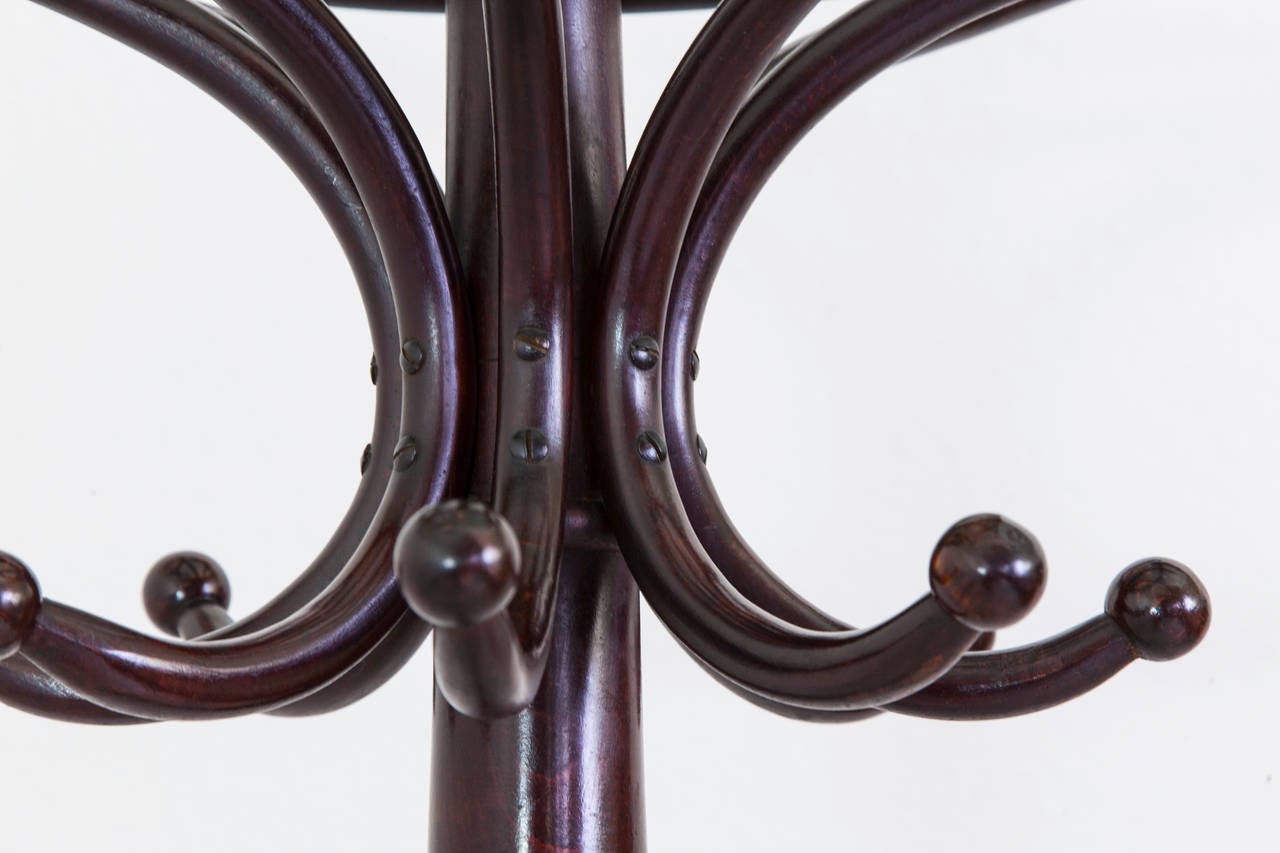 French Bentwood Thonet Style Coat Rack or Hall Tree, circa 1900 In Excellent Condition In Fayetteville, AR