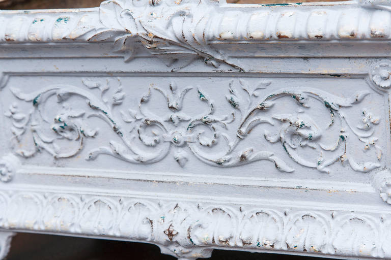 This late nineteenth century Louis XVI style cast iron jardinière is finished in a painted Marie-Antoinette grey.  Its decor of conch shells and scrolling vines appears on all four sides.  For indoor or outdoor use.