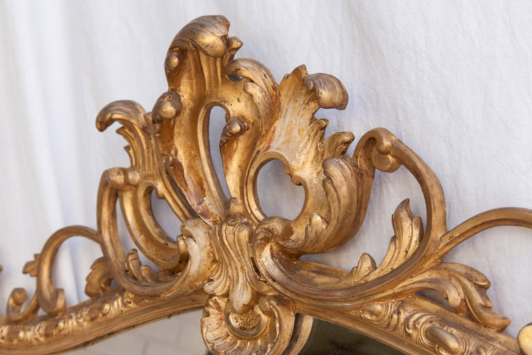 This large gilt gesso and carved wood Regency style mirror with its exuberant scrolls and rocailles makes a grand and elegant statement in any space. Late 19th century.