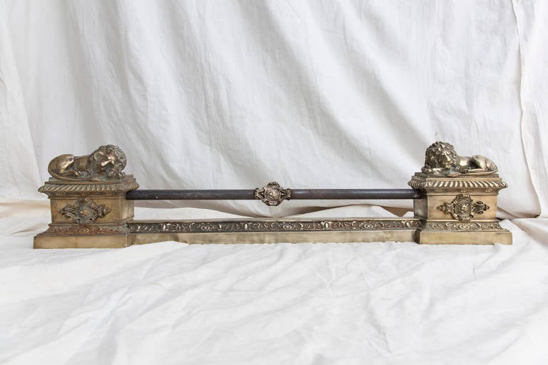 19th Century Bronze Fireplace Fender with Recumbent Lions 5
