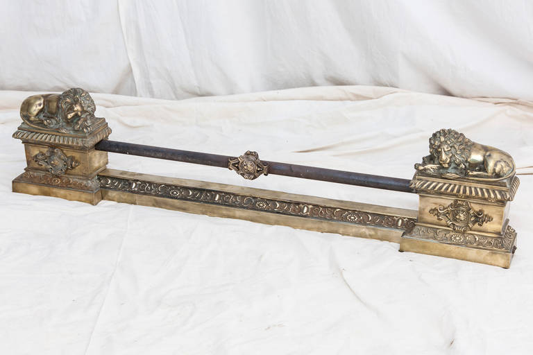 19th Century Bronze Fireplace Fender with Recumbent Lions 4