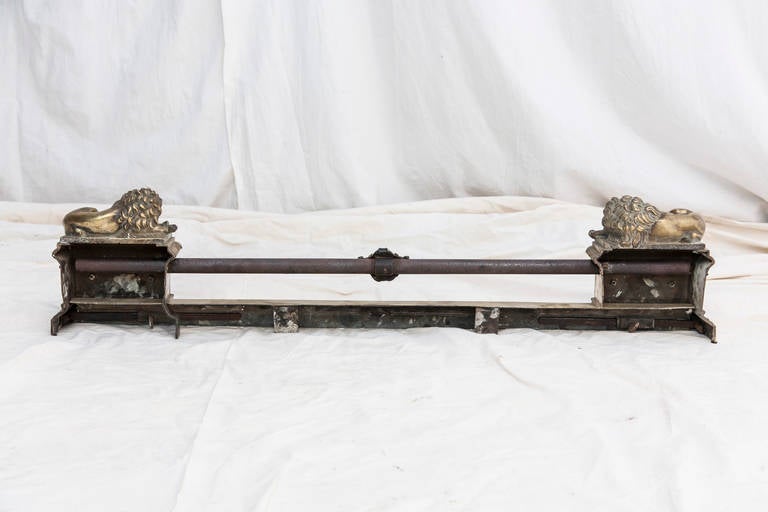 19th Century Bronze Fireplace Fender with Recumbent Lions 6