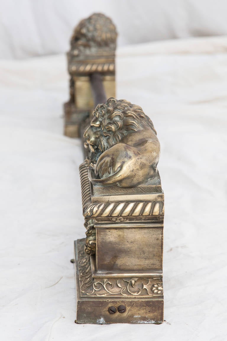 19th Century Bronze Fireplace Fender with Recumbent Lions 1