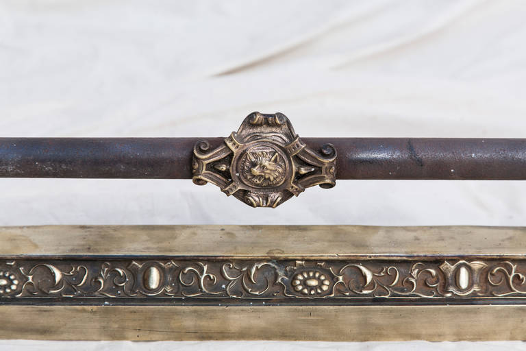 19th Century Bronze Fireplace Fender with Recumbent Lions 2