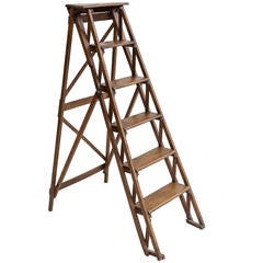 French Library Ladder