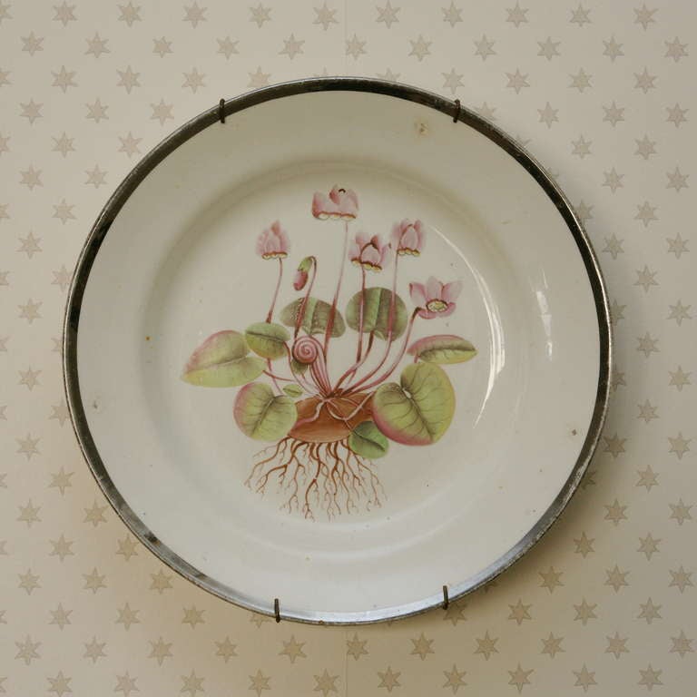 Each creamware plate in this lovely set features a different type of finely painted pink flower. The plates are rimmed with a silver toned lustre border. The name of the particular flower is inscribed in red cursive script on the reverse of each
