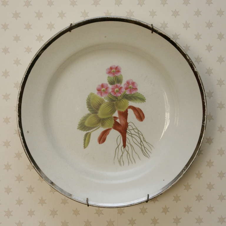 Set of Four Swansea Creamware Botanical Dessert Plates In Good Condition For Sale In New York, NY