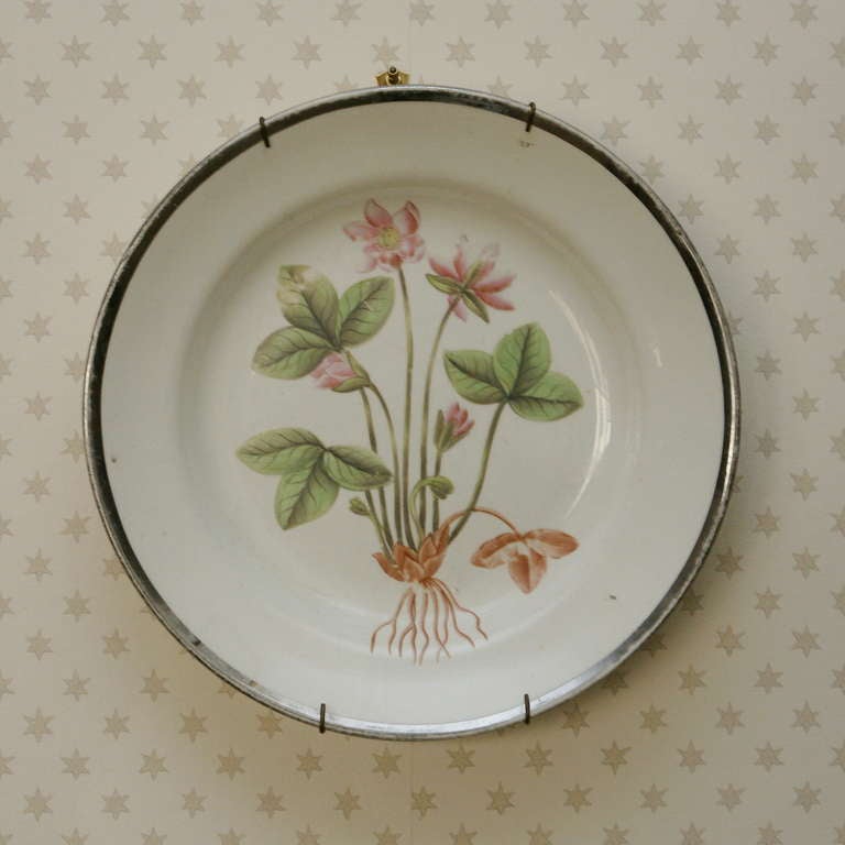 Late 18th Century Set of Four Swansea Creamware Botanical Dessert Plates For Sale