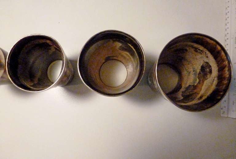 Set of Six Horn and Silver Beakers 1