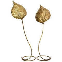 Vintage Pair of Huge Rhubarb Leaf Brass Floor Lamps by Tommaso Barbi