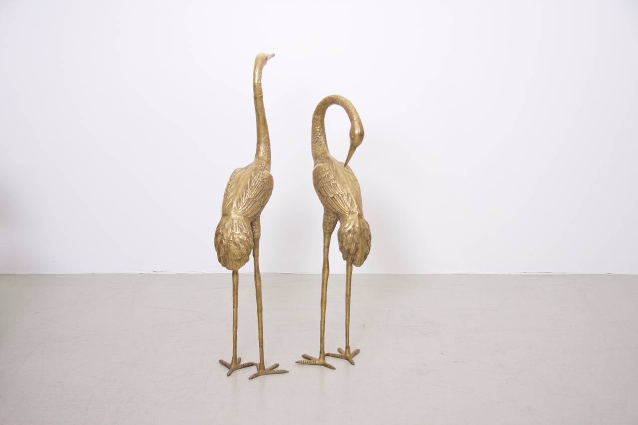 are cranes related to flamingos