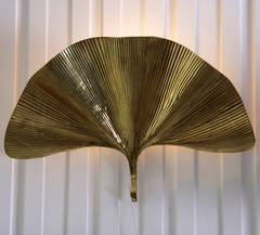 1 of 4 Huge Ginkgo Leaf Brass Wall Lights or Sconces by Tommaso Barbi