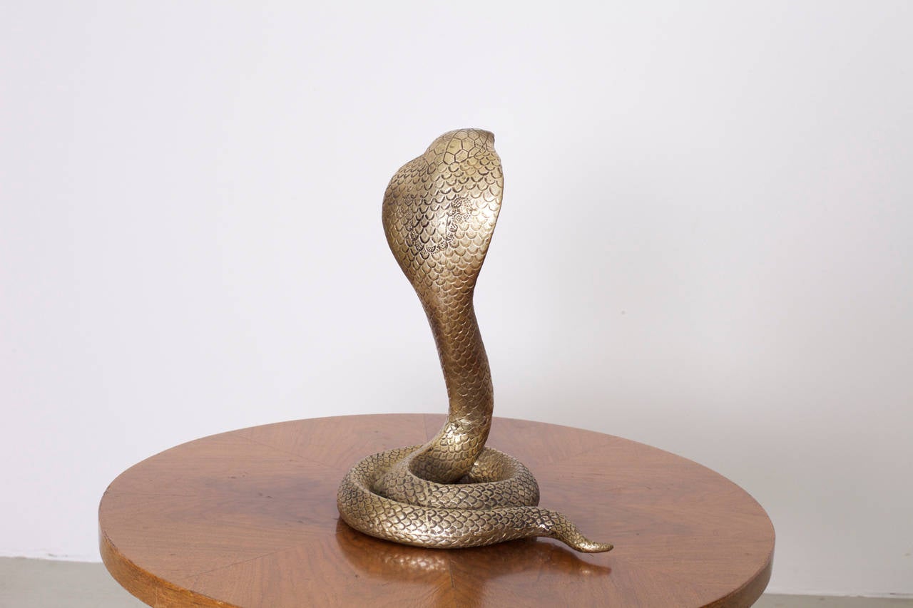 huge king cobra