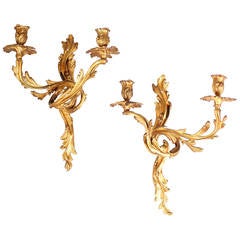 Pair of Gilt Brass Wall Lights in the Louis XV Rococo Style