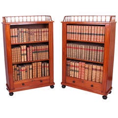 Pair of Satinwood Dwarf Bookcases