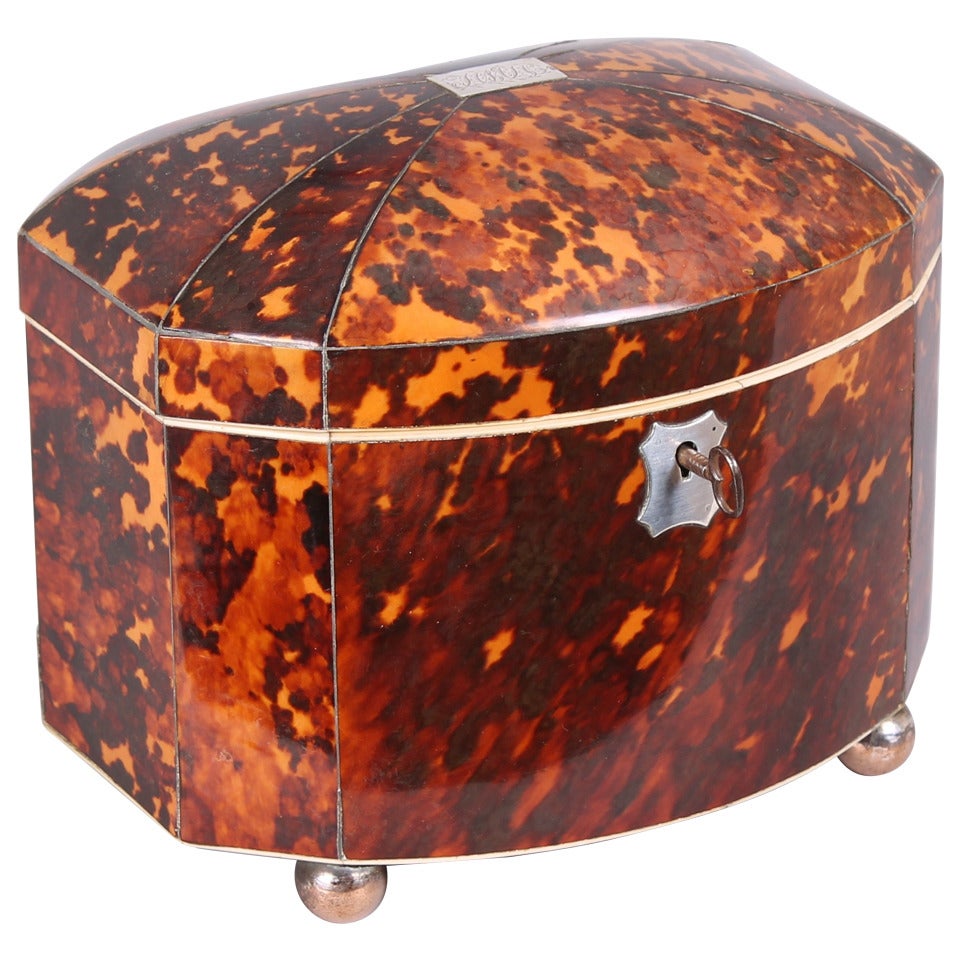 Fine Regency period tortoise-shell bow-fronted double tea-caddy For Sale