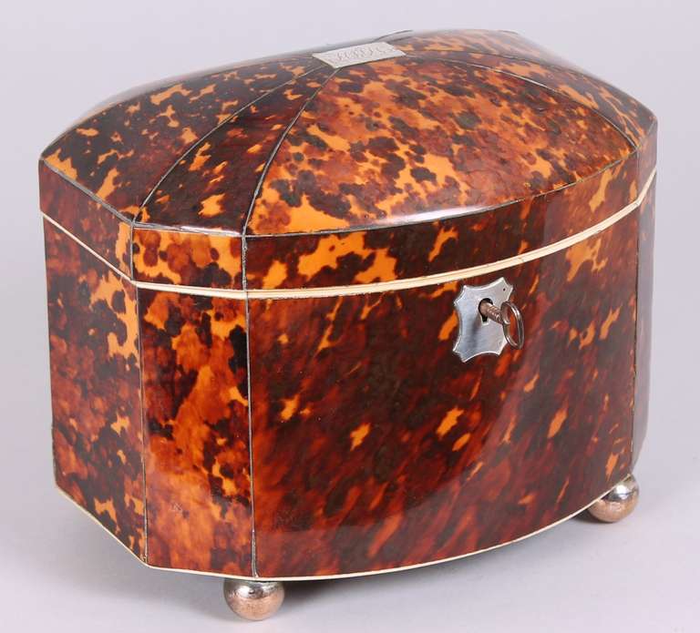 Fine Regency period tortoise-shell bow-fronted double tea-caddy; veneered with richly mottled shell panels divided by inlaid pewter lines and ivory bands, mounted with a silver escutcheon, hinges, lock and engraved lid-plaque; on silvered ball-feet.