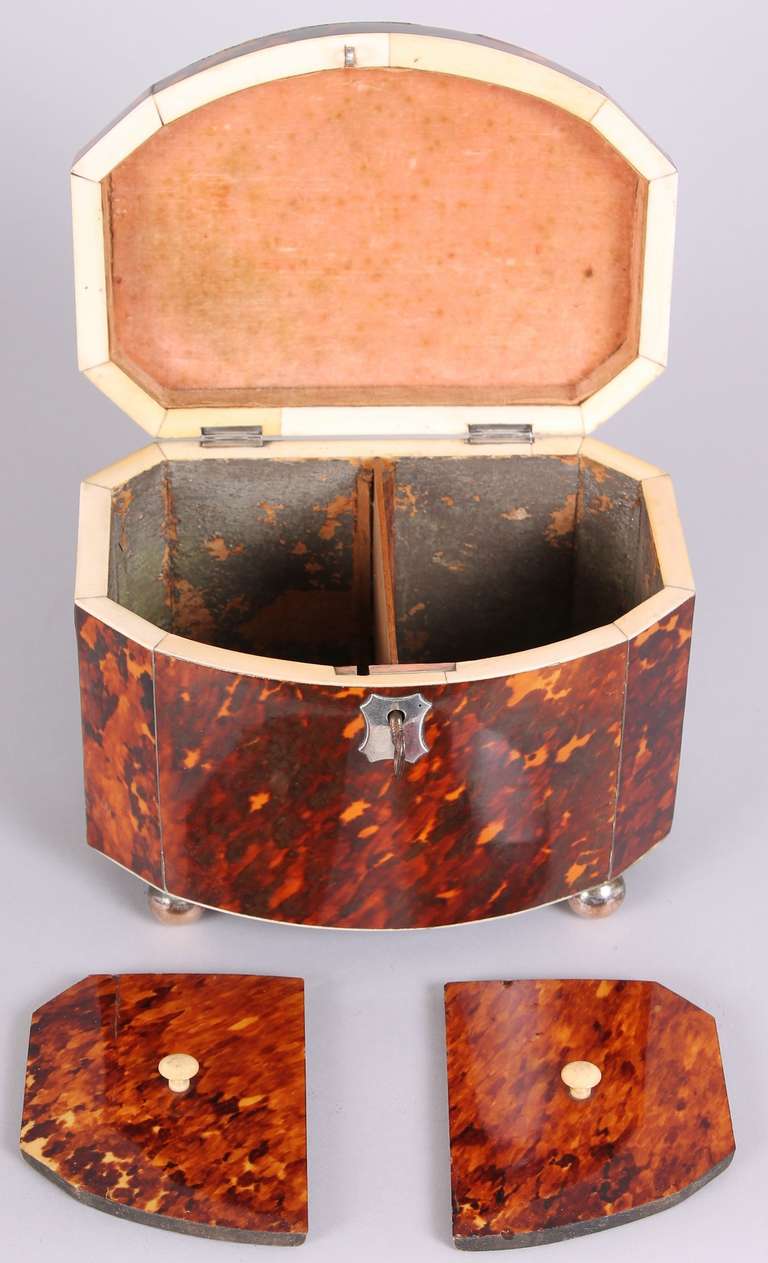 English Fine Regency period tortoise-shell bow-fronted double tea-caddy For Sale