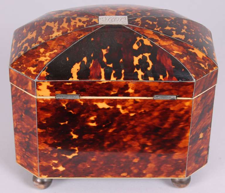 Fine Regency period tortoise-shell bow-fronted double tea-caddy In Excellent Condition For Sale In Cambridge, GB