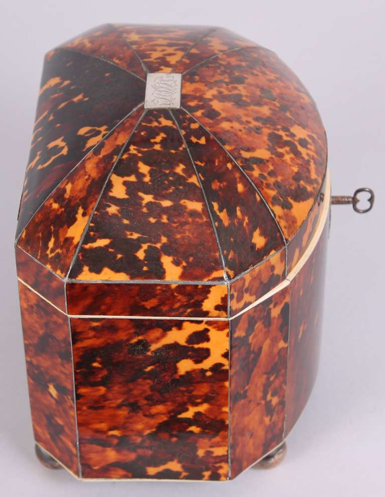 Tortoise Shell Fine Regency period tortoise-shell bow-fronted double tea-caddy For Sale