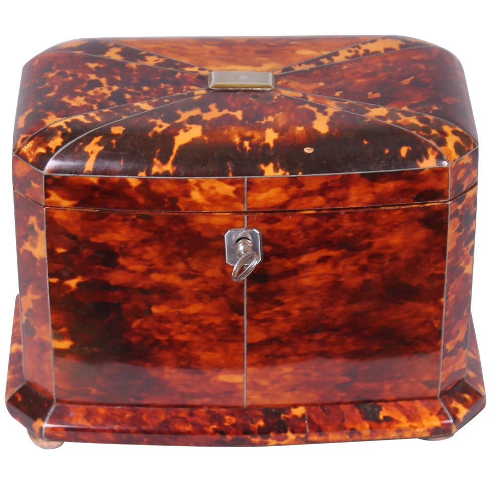 George IV period tortoise-shell double tea-caddy