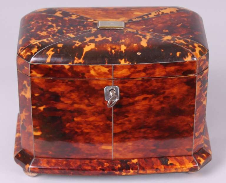 George IV period tortoise-shell double tea-caddy of bow-fronted form with chamfered corners and base-moulding; veneered with segments of richly-coloured shell within pewter lines and with silver mounts. Circa 1820