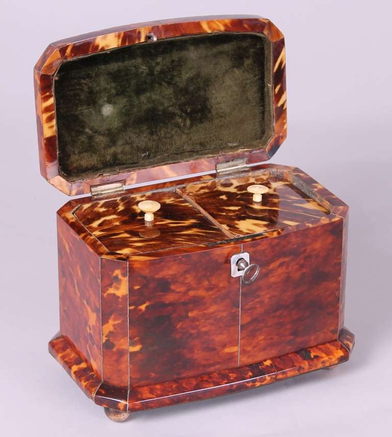 English George IV period tortoise-shell double tea-caddy