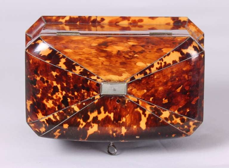 George IV period tortoise-shell double tea-caddy In Excellent Condition In Cambridge, GB