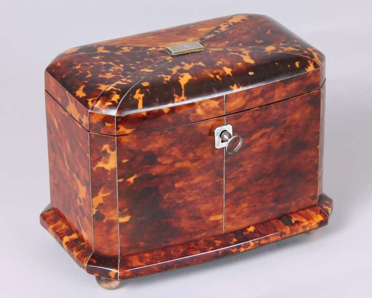 19th Century George IV period tortoise-shell double tea-caddy