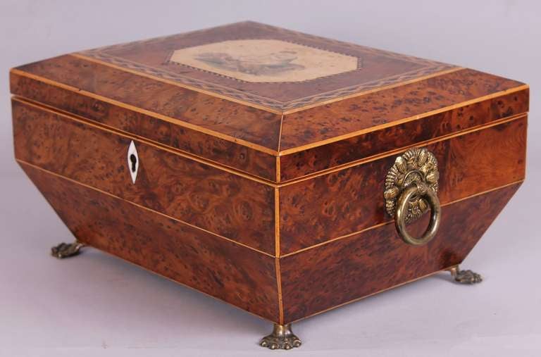 English Regency period burr yew work-box