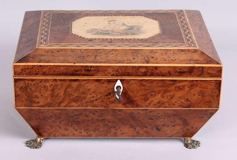 19th Century Regency period burr yew work-box