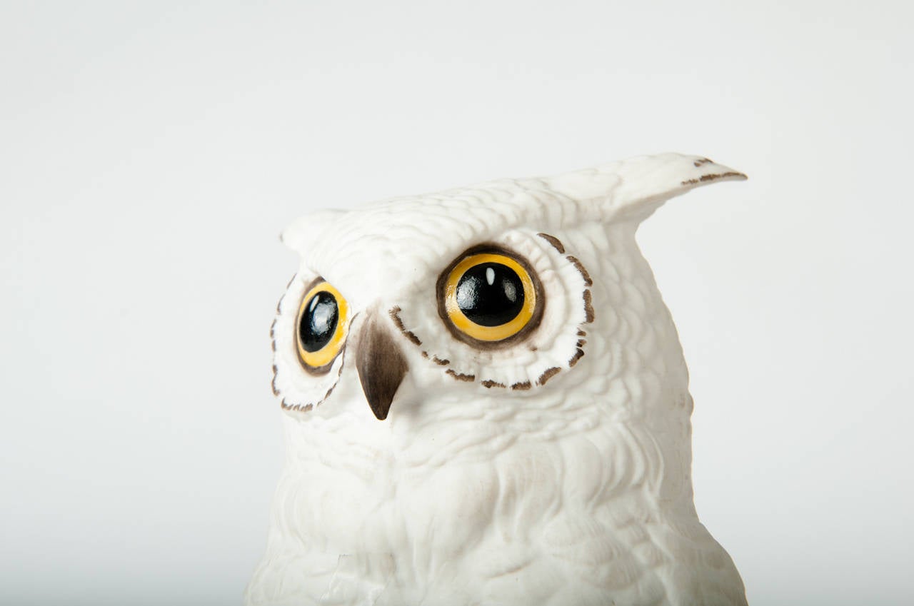 Pair of Vintage American Ceramic Owl Bookends at 1stdibs