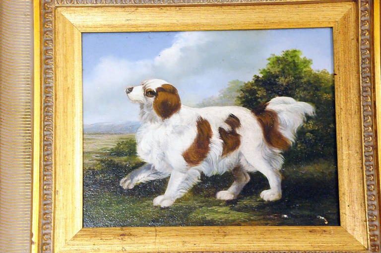 Vintage Framed Dog Painting at 1stDibs vintage dog painting, framed