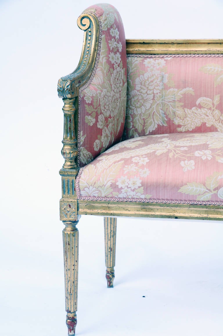 Nicely scaled settee with rolled arms, fluted legs and wonderful gilding.