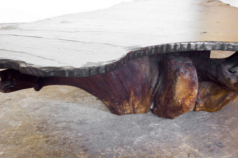 Tree Root and Stone Coffee Table 1