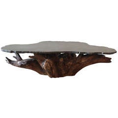 Tree Root and Stone Coffee Table