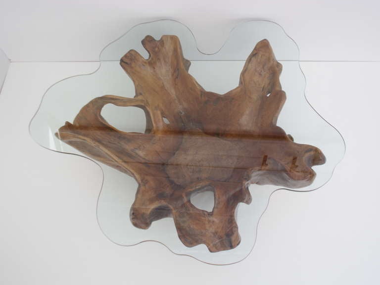 Stunning vintage teak root coffee table with custom cut glass top.