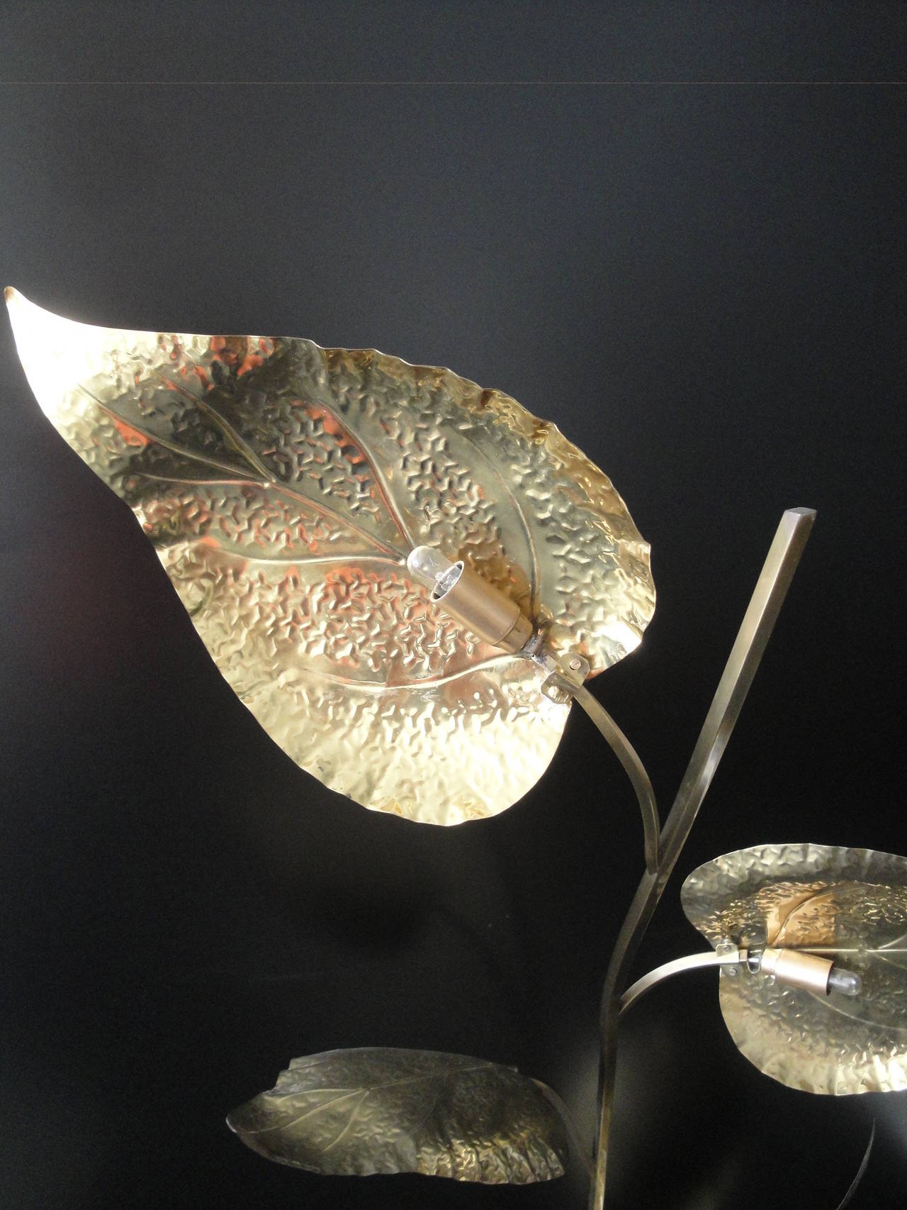 Tommaso Barbi Brass Leaf Floor Lamp 2