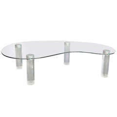 Lucite Kidney Shaped Coffee Table by Pace Collection 5