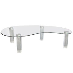 Lucite Kidney Shaped Coffee Table by Pace Collection