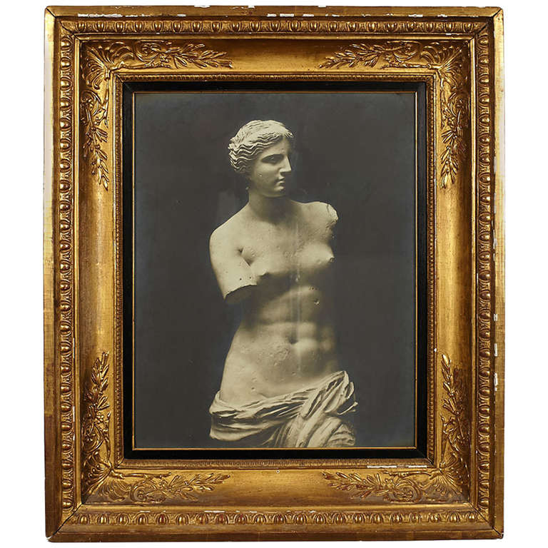 Early 20th Century Framed Venus de Milo Photograph For Sale