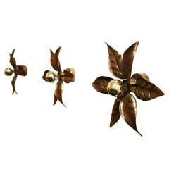 Set of Three Large 1970 Flower Sconces in Gilded Brass