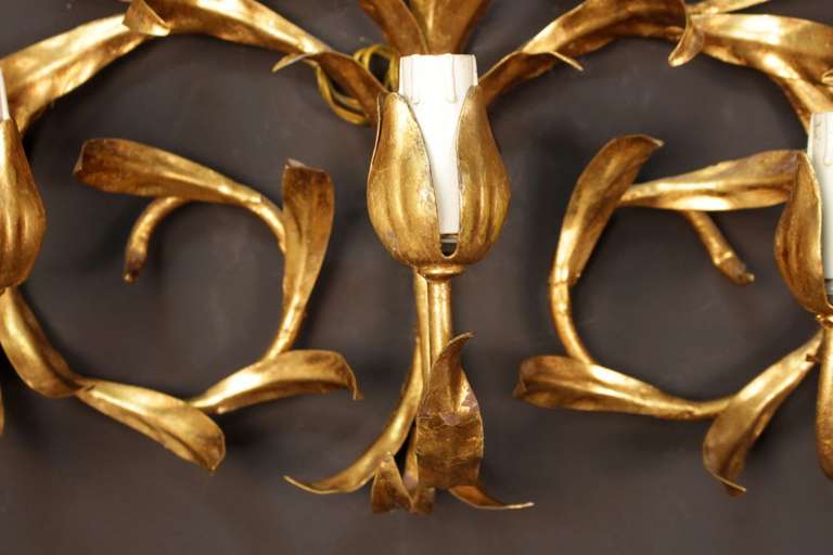 French Pair of Large 1965 'Foliage' Sconces