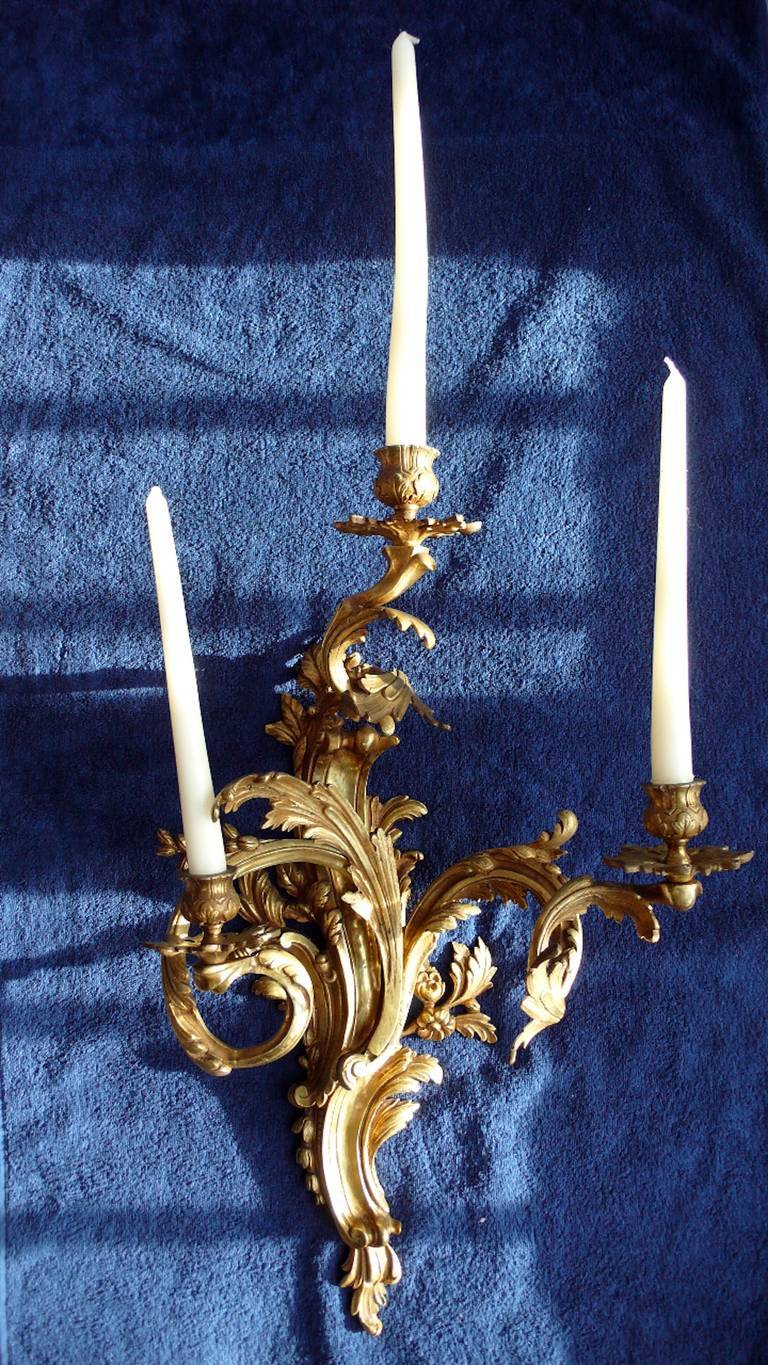 Gilt Imposing Pair of Gilded Bronze Louis XV Three-Light Sconces