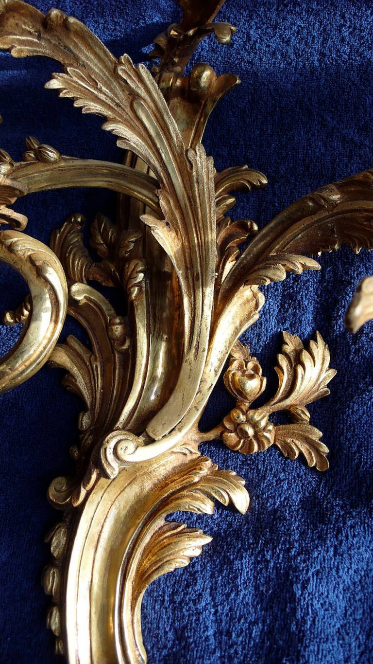 Imposing Pair of Gilded Bronze Louis XV Three-Light Sconces 4