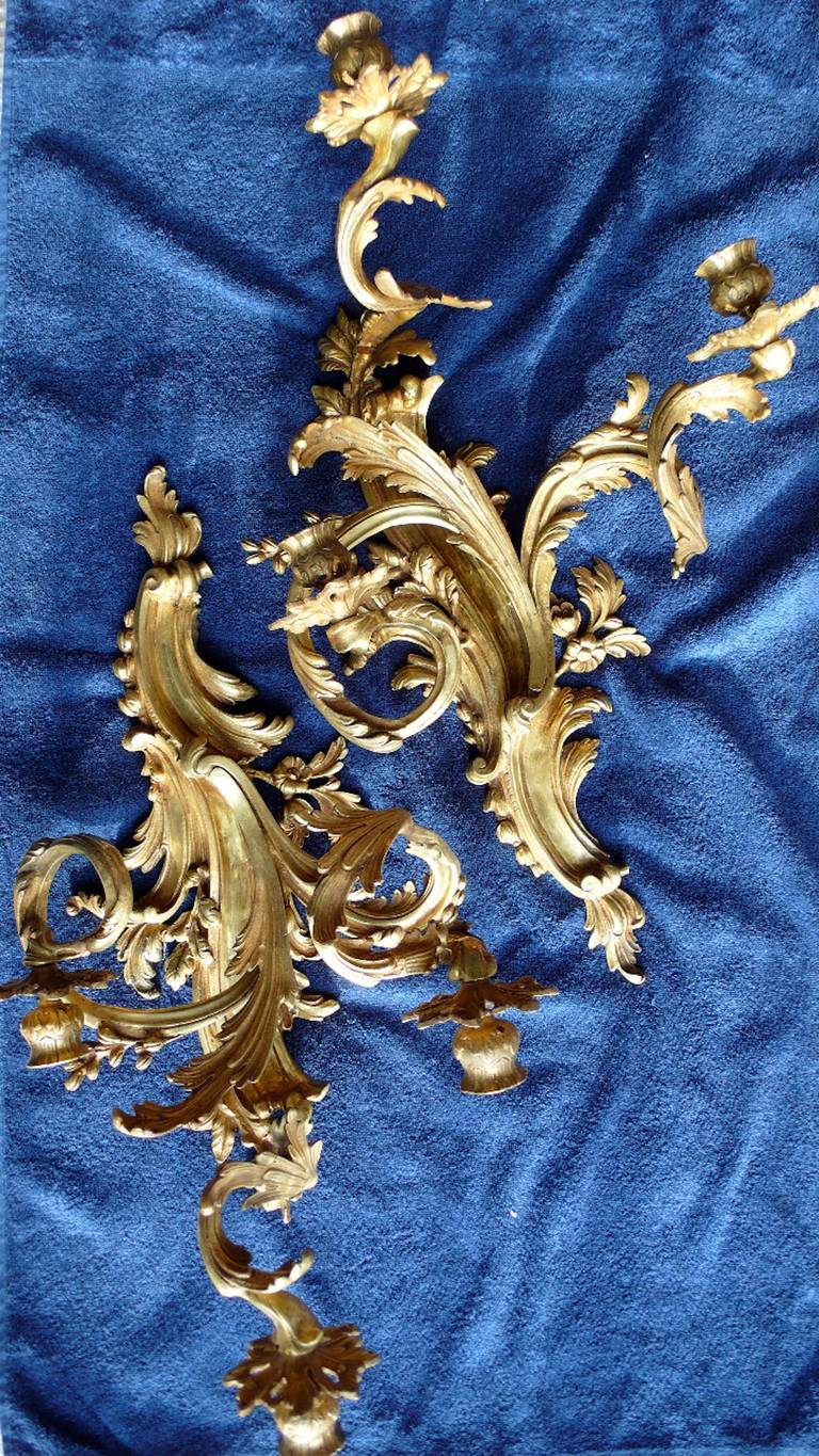 Imposing Pair of Gilded Bronze Louis XV Three-Light Sconces 2