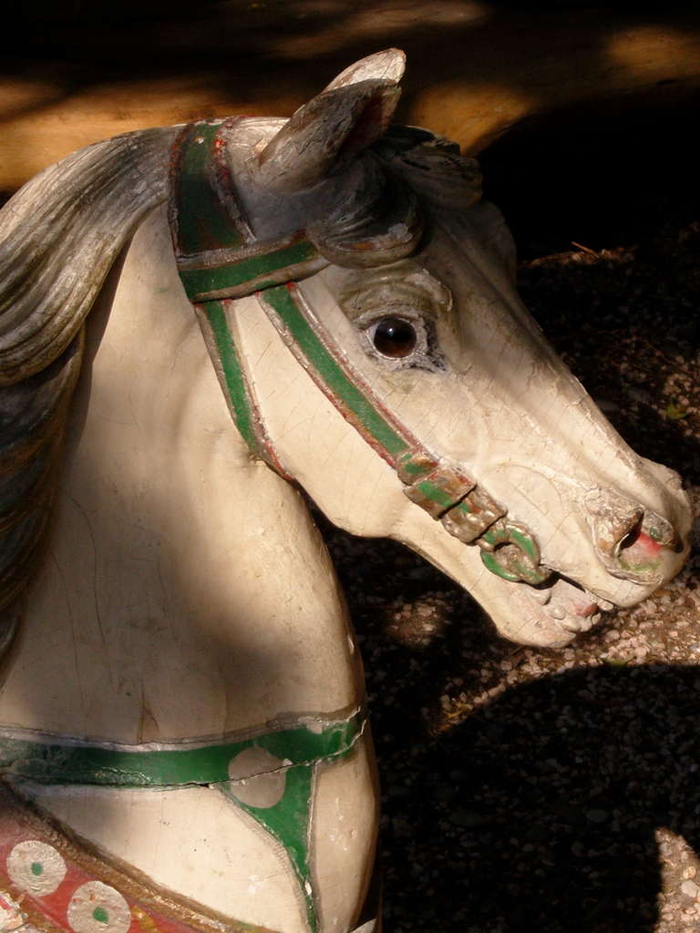 Old Carousel Horse in Wood from Germany 1