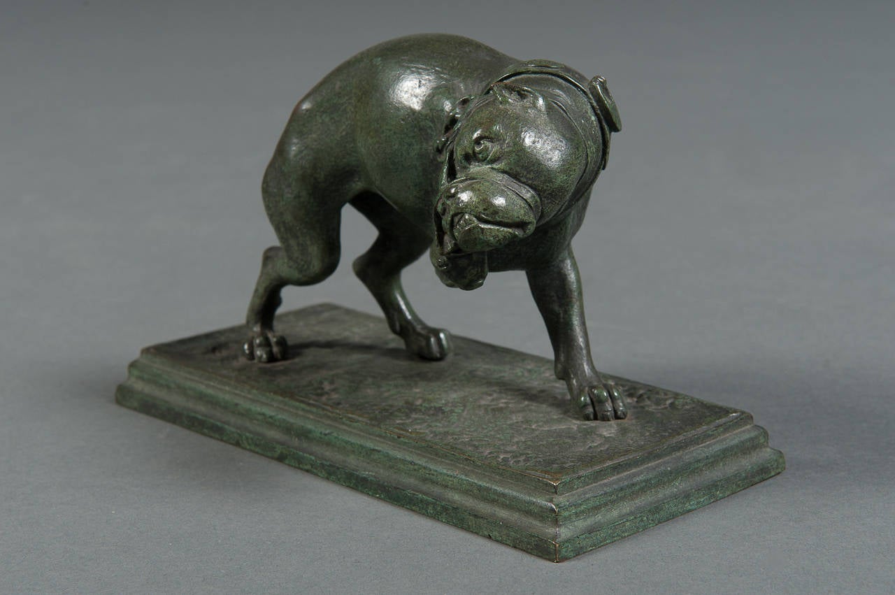 A French Antique Green Patinated Dog after Antoine Barye

Circa 1900

Origin: France
 
Height: 5″
Width: 7 ″
Depth: 3″

Material: Bronze

Signed: A. Barye 

Excellent Condition