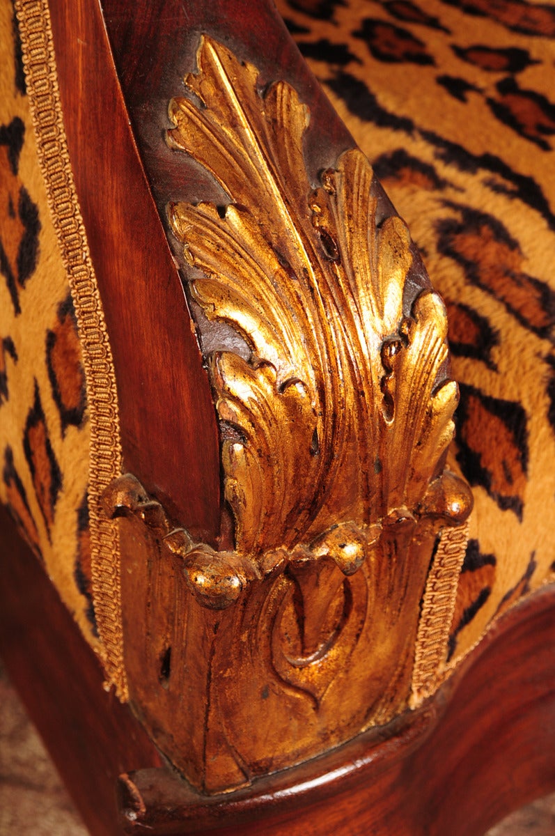 American Carved Mahogany Chair with Gilt Parcels and Leopard Upholstery, 1830 2